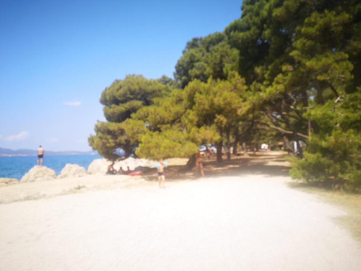 Apartment Asea Zadar Ngoại thất bức ảnh